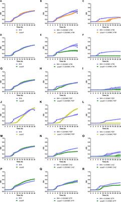 Disbalancing Envelope Stress Responses as a Strategy for Sensitization of Escherichia coli to Antimicrobial Agents